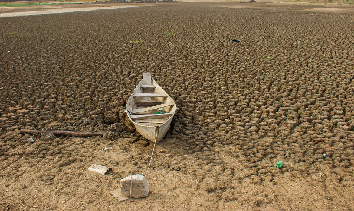 COP17 debate estratégias para recuperar terras e combater a desertificação