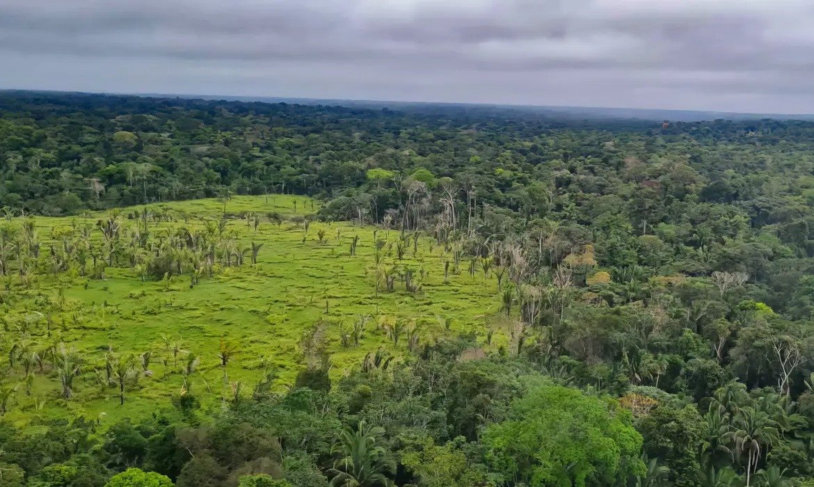 Amazônia reduz desmatamento e terras indígenas mantêm baixa participação