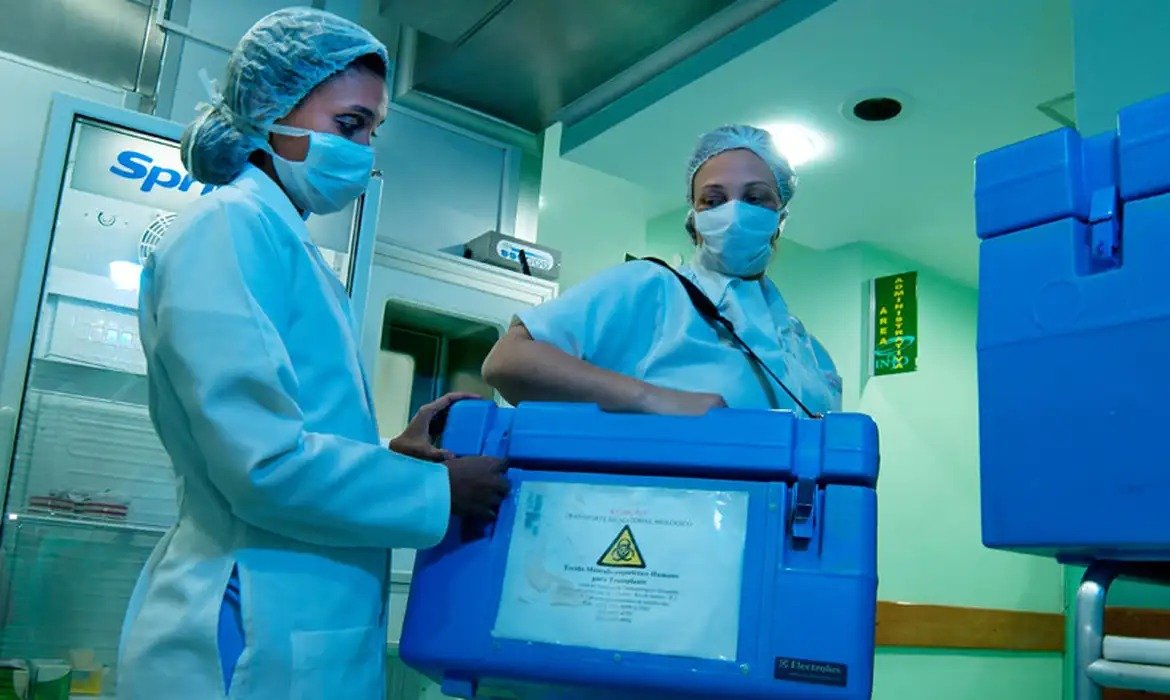 Saiba o passo a passo para registrar intenção de doar órgãos