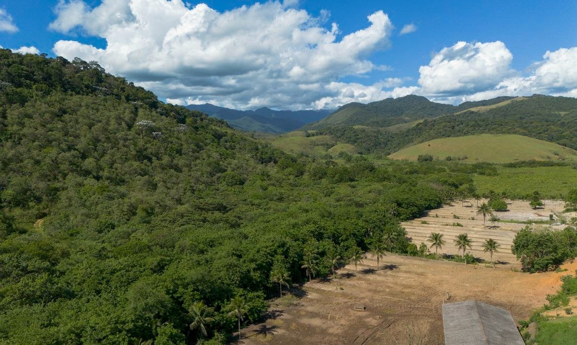Estudo mostra avanço da agricultura na Mata Atlântica em 41 anos
